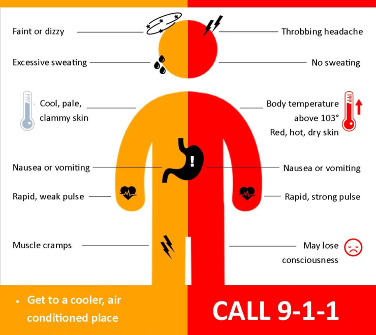Heat Stress Symptoms - Call 9-1-1